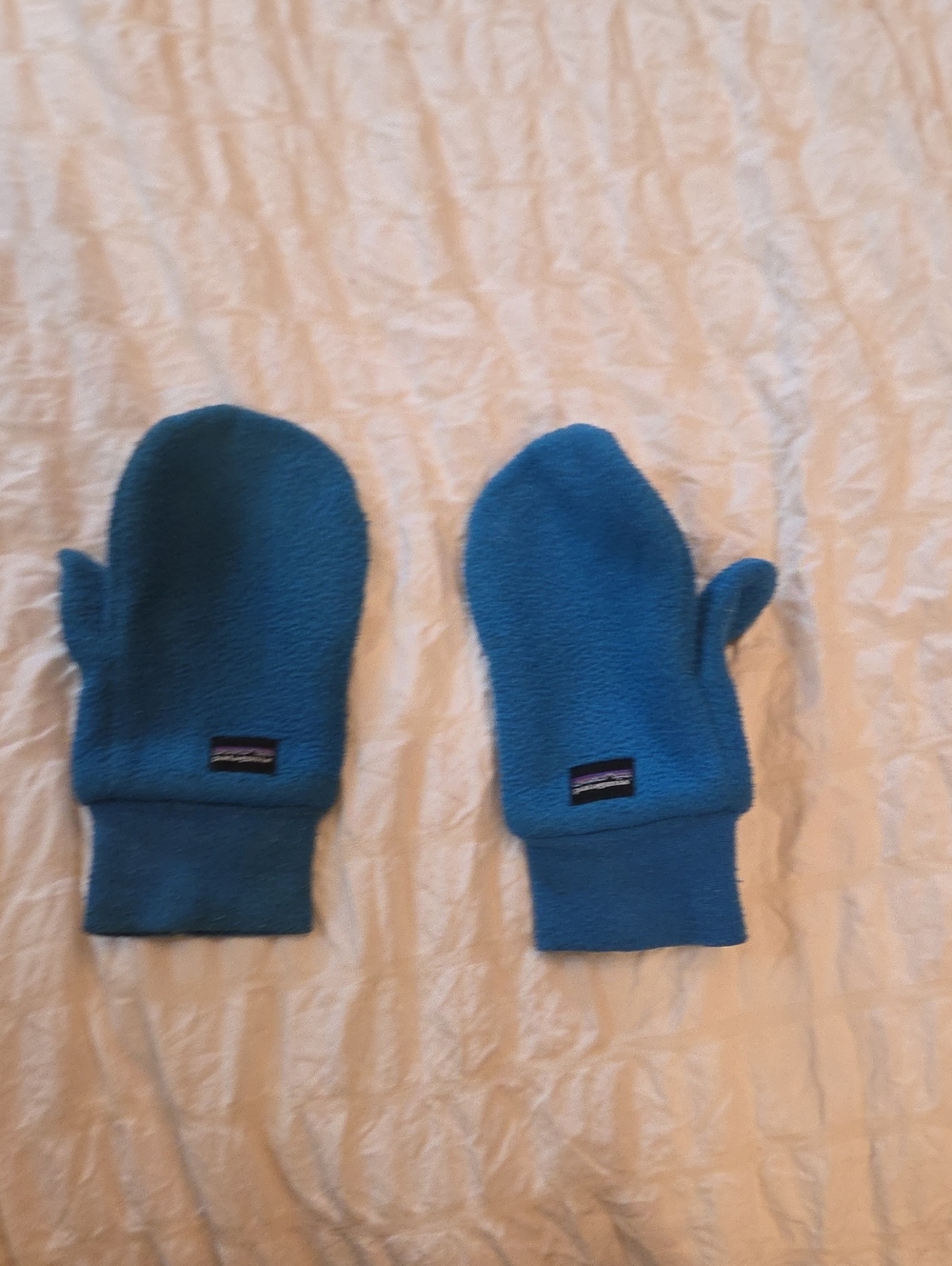 Patagonia Kids Blue Fleece Mittens